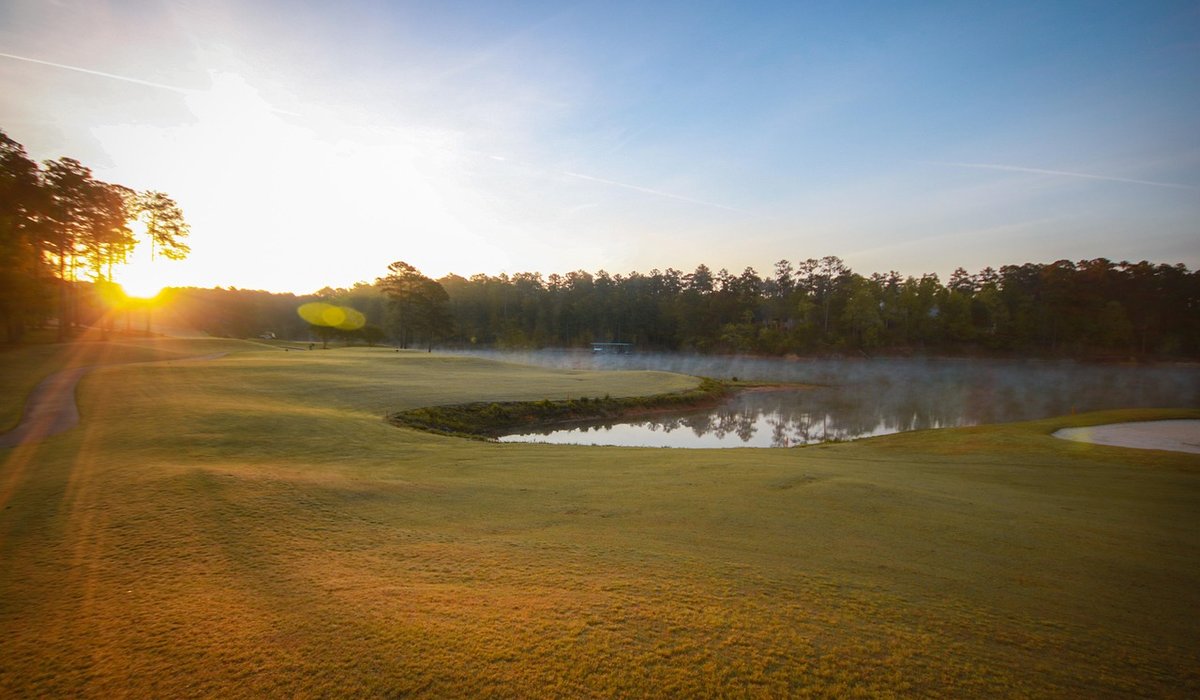 Family-Friendly Activities Near a Country Hotel